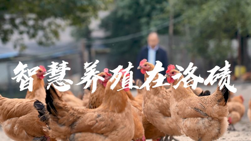 成都生物制品代理加盟：揭秘行业趋势与关键要素**