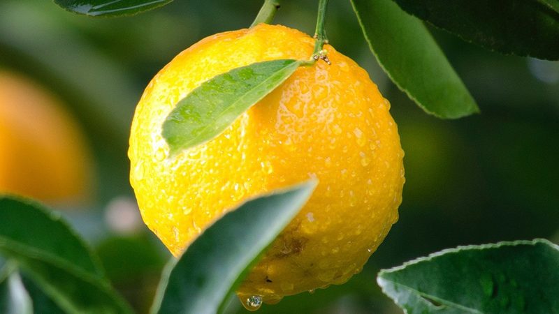 射频生物科技美容仪：正确使用步骤揭秘