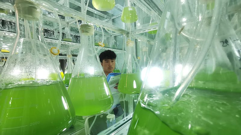 无创产前基因检测：揭秘流程步骤与关键环节