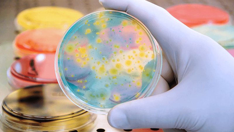 生物试剂标准物质：揭秘其使用步骤与重要性