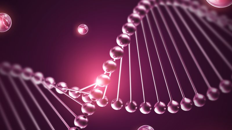 引物合成质量如何保障？关键评估指标解析