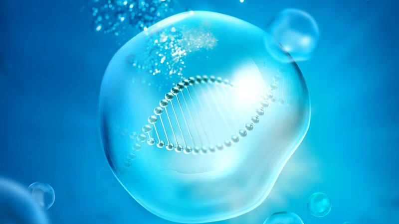 大分子药物冷链运输，这些关键点你了解吗？**
