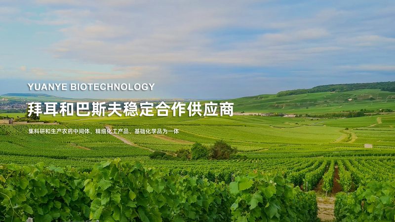 PCR检测价格差异背后的真相