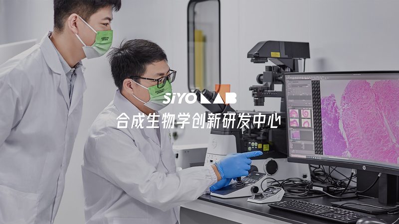 细胞工厂安装，这些关键步骤你掌握了吗？**