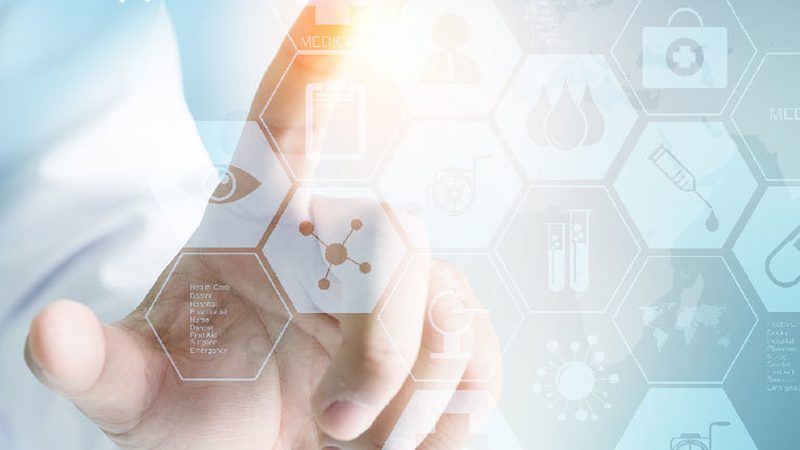 定制分子生物学检测试剂盒：精准科研的得力助手**