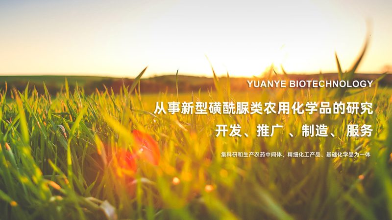 细胞培养基：揭秘其背后的科学奥秘与选购要点**